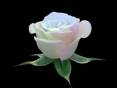Rose opening animation Glowing Flower Blooming Rose 3D model