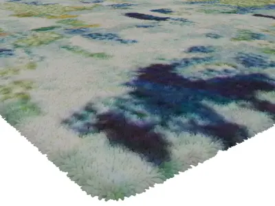 Rug Set 1904 3D model