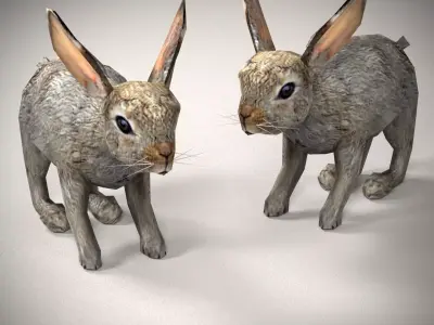 Adorable Rabbit Model 3D model