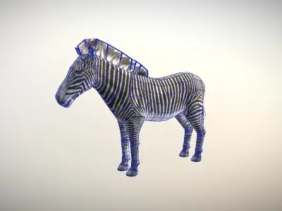 Zebra Animated Low Poly  Low-poly 3D model