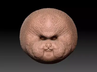 Bichon Head - 3D Print Model 3D print model