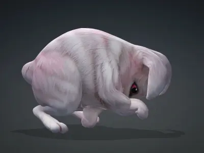 Rabbit-A1 3D model