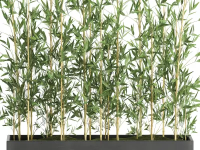 Bamboo bush for the interior in a black flowerpot 583 3D model