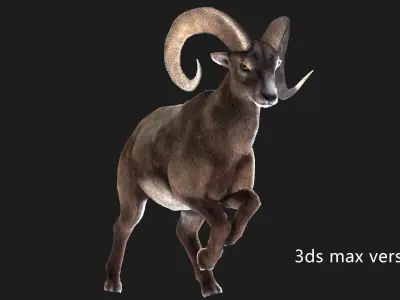 rigged goat ram sheep  Low-poly 3D model
