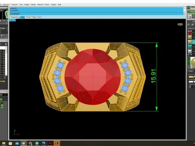 Luxury Octagon Ruby and Diamond Statement Ring for Men 3875 3D print model