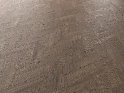 Parquet Oak Missisippi Wild Wood set 5 3D model