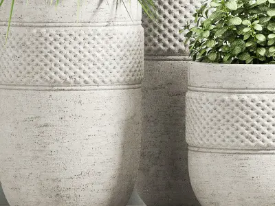 Decorative plant set-61 3D model