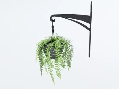 Fern in Hanging Pot Low-poly 3D model