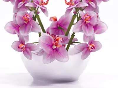 Orchids in bowl 3D model