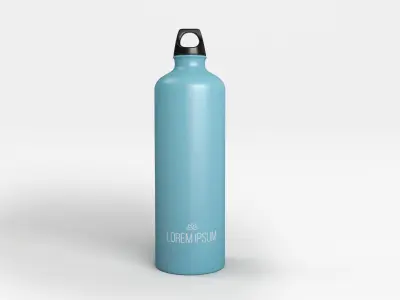 Metal Bottle 3D model