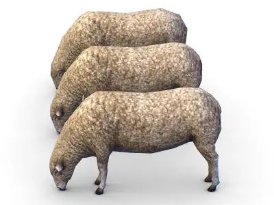 Low Poly Farm Sheep Low-poly 3D model