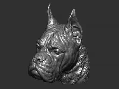 Deutscher Boxer head 3D print model