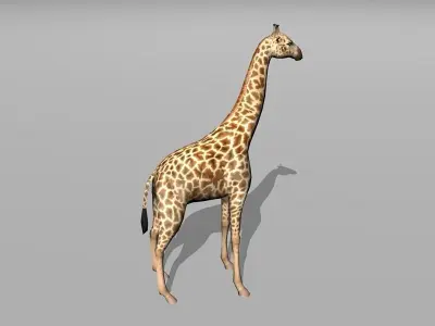 giraffe Low-poly 3D model