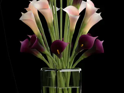 callalilly purple set 3D model