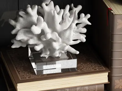 Decor Set 5 starfish 3D model