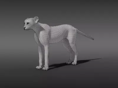 Young Cheetah Model 3D model