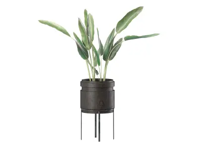 plant set-001 3D model