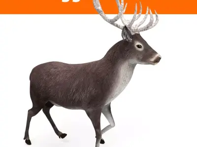 3D deer rigged animated black Low-poly 3D model