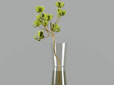 Collaction Indoor Plants 3D model