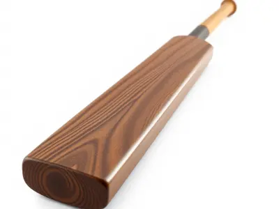 Wooden Cricket Bat D Model Pack Low-poly 3D model