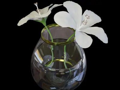 White flowers in a vase full of water Free 3D model