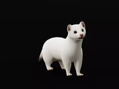 Ermine Stoat Weasel Low-poly 3D model