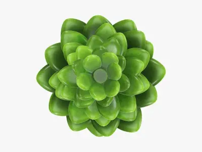 Cactus composition artificial 02 3D model