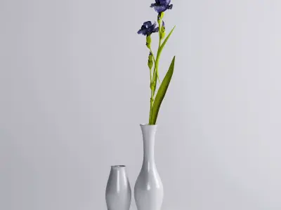 Decorative Vase 3D model