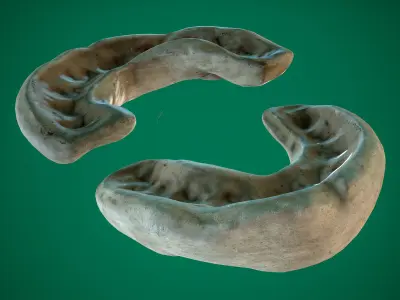 Mouthguard Low-poly 3D model