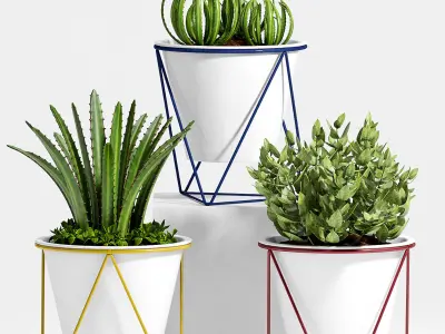 Decorative plant set-23 3D model