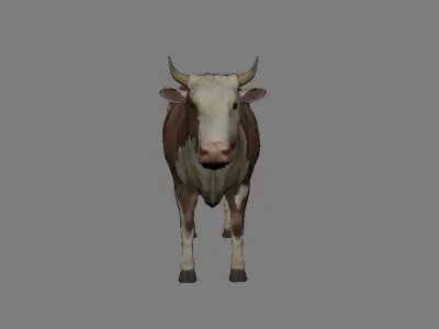 Cow Animated VFX Grace Low-poly 3D model