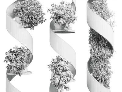 Column plant - pillar plant set indoor plant 412  Low-poly 3D model