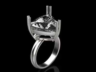Ring 80028 3D print model