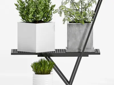 Decorative plant set-69 3D model