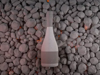 Wine bottle with coal 3D model