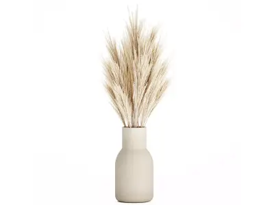 Bouquet Dried Flowers Branches  Cortaderia Pampas 539 3D model