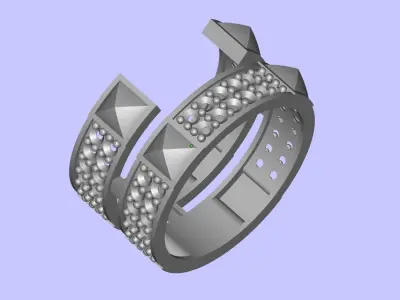 Twin Ring 3D print model