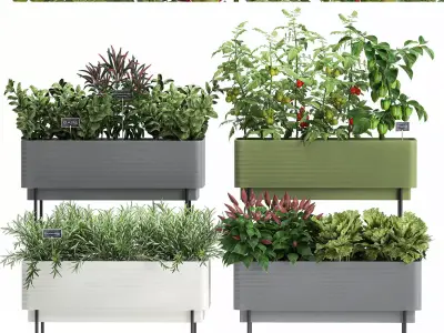 Vegetable garden in the kitchen 1059 3D model