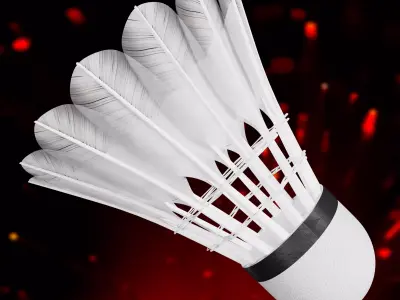 Shuttlecock Badminton 3d Model Low-poly 3D model