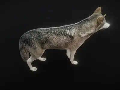 82 complete animated wolf sets Low-poly 3D model