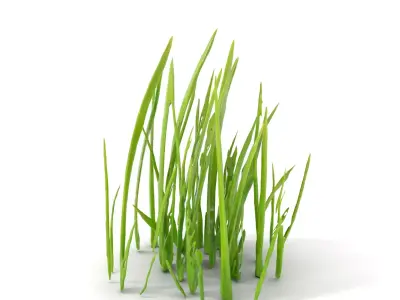 Lush Grass Blades model pack Low-poly 3D model