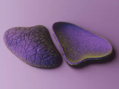 Realistic Decorative Oyster Shell vol 10 3D print model