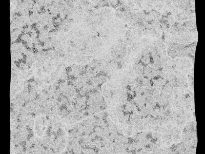 318-RockPanel sandstone wall texture 3D model