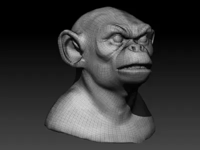 Monkey head 3d  model 3D model