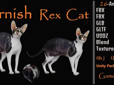 Cornish Rex Cat Low-poly 3D model