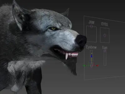 Gray Wolf Low-poly 3D model