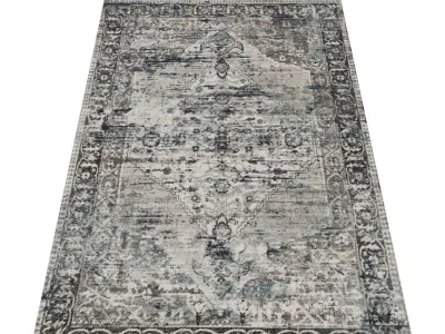 Rug Set 1560 3D model