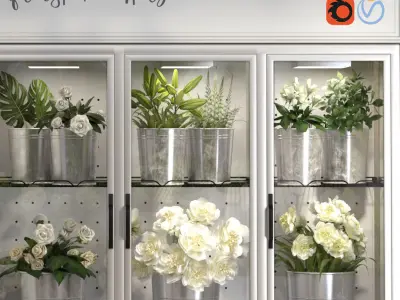 Florist Shops interior Collection Flower store refrigerator 3D model
