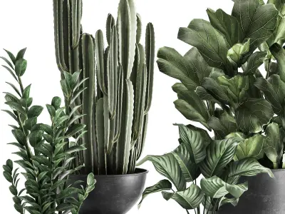 Houseplants in a pot for the interior 877 3D model