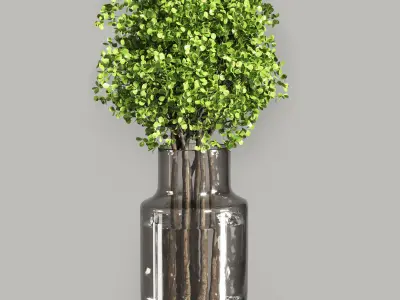 Collection Plants Bouquet Indoor 01 3D model